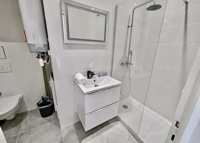 Excellent T2 - Moderne & Equipe Avec Parking Appartement Grenoble